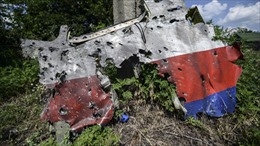 Hà Lan tuyên bố giữ bằng chứng về nguyên nhân MH-17 nổ tung